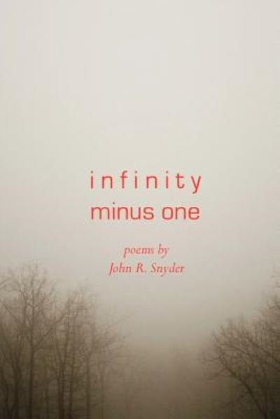 John R Snyder · Infinity Minus One (Paperback Book) (2016)