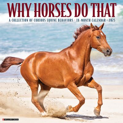 Why Horses Do That 2025 12 X 12 Wall Calendar - Willow Creek Press - Merchandise - Willow Creek Press Calendars - 9781549245442 - September 10, 2024