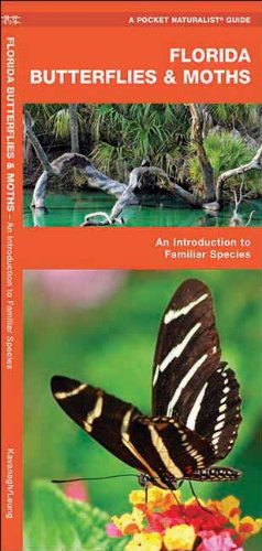 Cover for James Kavanagh · Florida Butterflies &amp; Moths: a Folding Pocket Guide to Familiar Species (Pocket Naturalist Guide Series) (Pamphlet) [1st edition] (2018)