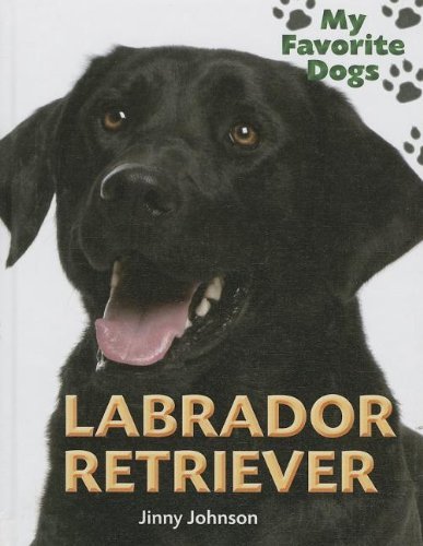 Cover for Jinny Johnson · Labrador Retriever (My Favorite Dogs) (Hardcover bog) (2013)