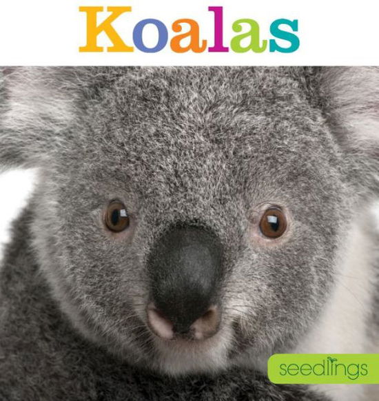 Cover for Kate Riggs · Seedlings: Koalas (Paperback Book) (2015)