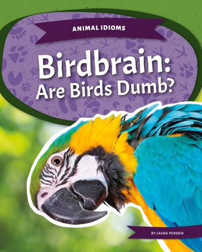 Cover for Laura Perdew · Animal Idioms: Birdbrain: Are Birds Dumb? (Paperback Book) (2022)