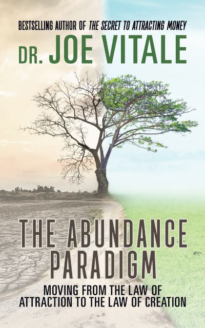 Cover for Joe Vitale · The Abundance Paradigm: Moving From The Law of Attraction to The Law of Creation (Hardcover bog) (2022)