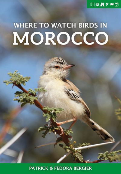 Cover for Patrick Bergier · Where to Watch Birds in Morocco - Where to Watch Guides (Paperback Book) (2017)