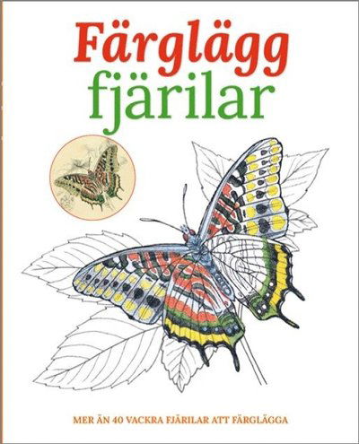 Cover for Maud Steen · Färglägg fjärilar : mer än 40 vackra fjärilar att färglägga (Book) (2016)