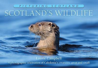 Cover for Laurie Campbell · Scotland's Wildlife: Picturing Scotland: A photographic celebration of Caledonia's creatures, great and small - Picturing Scotland (Hardcover Book) (2016)