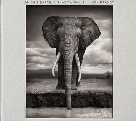 Cover for Nick Brandt · Nick Brandt: On This Earth, A Shadow Falls (Innbunden bok) (2014)