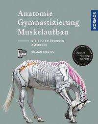 Anatomie, Gymnastizierung, Musk - Higgins - Books -  - 9783440157442 - 