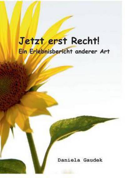 Cover for Daniela Gaudek · Jetzt Erst Recht! (Paperback Book) (2014)