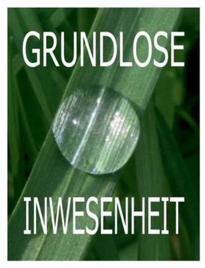 Cover for Tom De Toys · Grundlose Inwesenheit (Paperback Book) (2015)