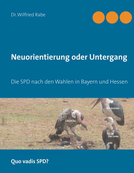 Cover for Rabe · Neuorientierung oder Untergang (Buch)