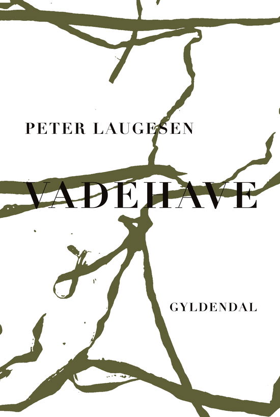 Cover for Peter Laugesen · Vadehave (Taschenbuch) [1. Ausgabe] (2020)