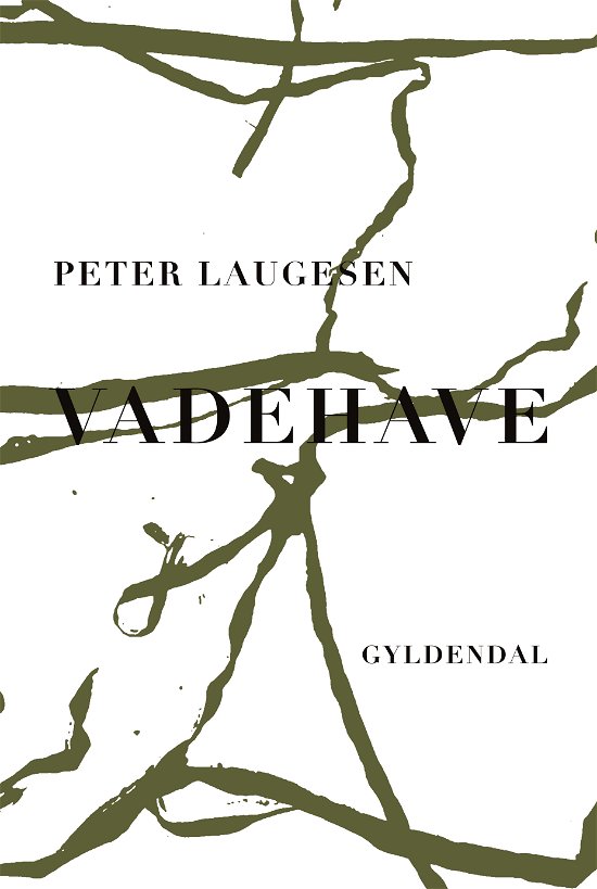 Cover for Peter Laugesen · Vadehave (Hæftet bog) [1. udgave] (2020)
