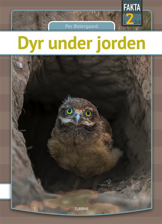 Cover for Per Østergaard · Fakta 2: Dyr under jorden (Inbunden Bok) [1:a utgåva] (2023)