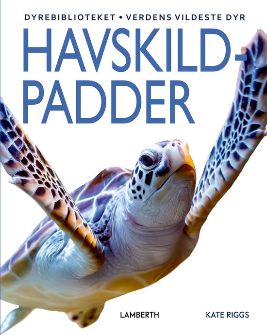 Cover for Kate Riggs · Havskildpadder (Bound Book) [1st edition] (2023)