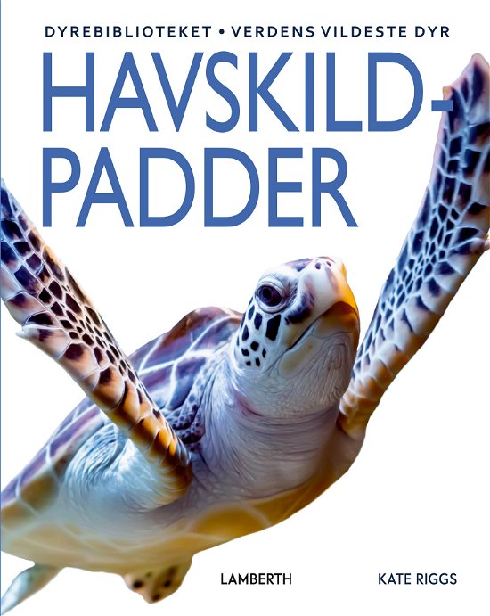 Cover for Kate Riggs · Havskildpadder (Bound Book) [1. Painos] (2023)