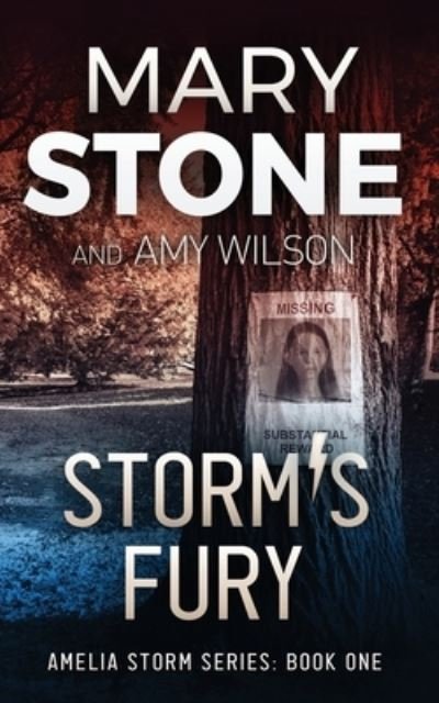 Mary Stone · Storm's Fury - Amelia Storm (Pocketbok) (2021)