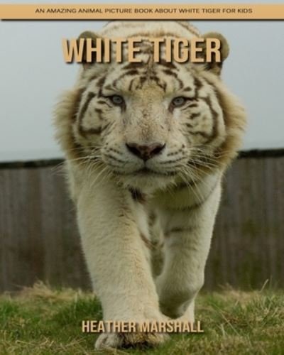 Cover for Heather Marshall · White Tiger: An Amazing Animal Picture Book about White Tiger for Kids (Taschenbuch) (2021)