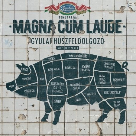 Cover for Magna Cum Laude · Gyulai H (CD)
