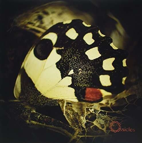 Ossicles · Music For Wastelands (LP) (2016)