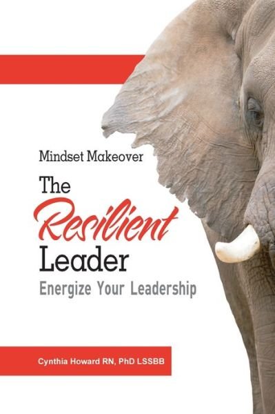 Cover for Cnc Phd Howard Rn · Mindset Makeover Energize Your Leadership (Paperback Book) (2019)