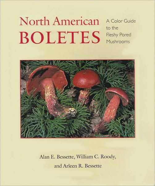 Cover for Alan E. Bessette · North American Boletes: A Color Guide to the Fleshy Pored Mushrooms (Taschenbuch) (2010)
