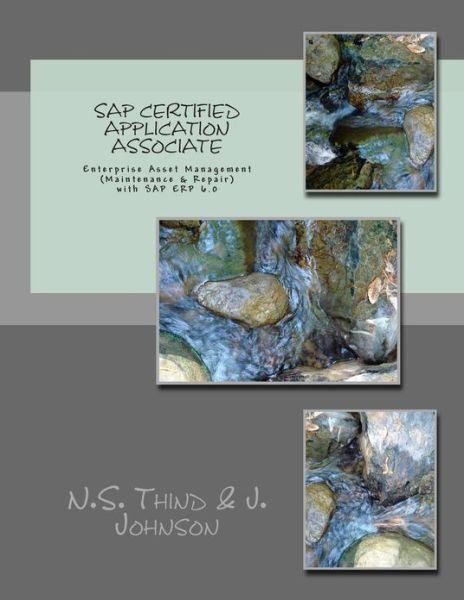 Cover for N S Thind · Sap Certified Application Associate: Enterprise Asset Management (Maintenance &amp; Repair) with Sap Erp 6.0 (Paperback Bog) (2012)