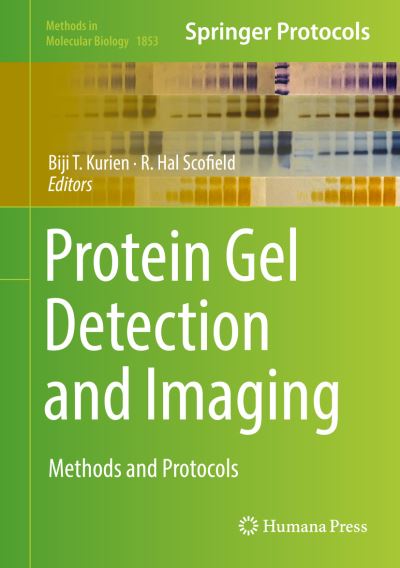 Cover for Protein Gel Detection and Imaging (Book) [1st ed. 2018 edition] (2018)