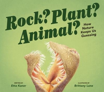 Cover for Etta Kaner · Rock? Plant? Animal? (Inbunden Bok) (2022)
