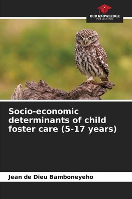 Cover for Jean de Dieu Bamboneyeho · Socio-economic determinants of child foster care (5-17 years) (Paperback Book) (2021)