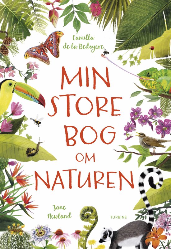 Cover for Camilla de la Bedoyere · Min store bog om naturen (Hardcover Book) [1. Painos] (2020)