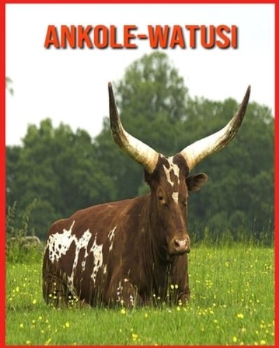 Cover for Alicia Moore · Ankole-Watusi: Foto stupende e fatti divertenti Libro sui Ankole-Watusi per bambini (Paperback Book) (2021)