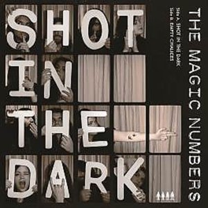 Cover for Magic Numbers · Shot in the Dark (7&quot;) [Limited edition] (2014)