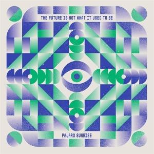 Cover for Pajaro Sunrise · The Future Is Not What It Used To Be (LP) (2024)