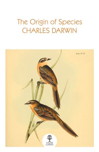 Cover for Charles Darwin · The Origin of Species - Collins Classics (Paperback Bog) (2024)