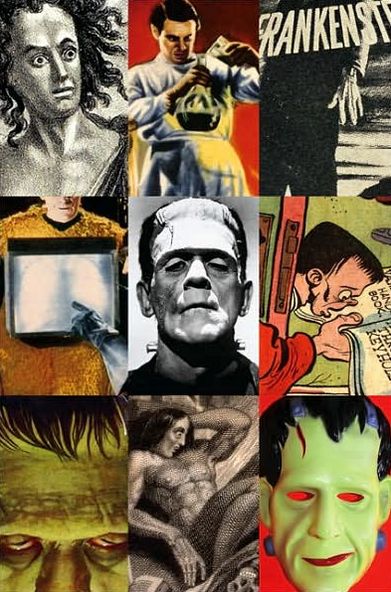 Cover for Susan Tyler Hitchcock · Frankenstein: A Cultural History (Hardcover Book) [First edition] (2007)