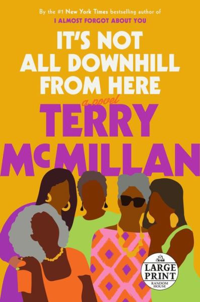 Cover for Terry McMillan · It's Not All Downhill From Here: A Novel (Paperback Book) [Large type / large print edition] (2020)