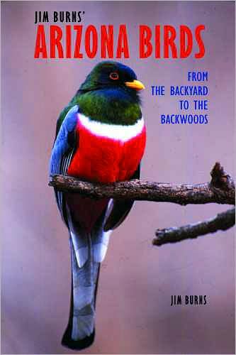 Jim Burns' Arizona Birds: From the Backyard to the Backwoods - Jim Burns - Books - University of Arizona Press - 9780816526444 - May 30, 2008