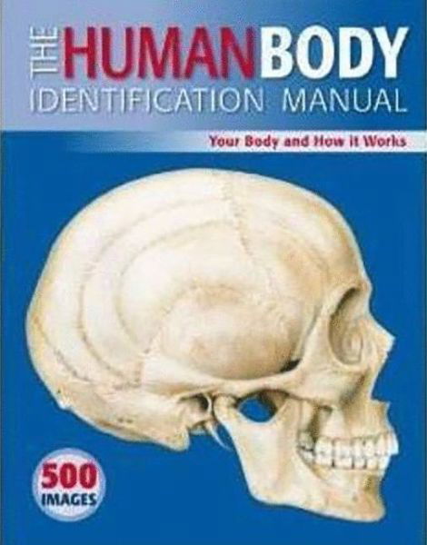 Cover for Ken Ashwell · The Human Body Identification Manual: Your Body and How It Works (Pocketbok) (2010)