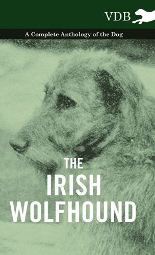 Cover for Various (selected by the Federation of Children's Book Groups) · The Irish Wolfhound - A Complete Anthology of the Dog (Inbunden Bok) (2010)