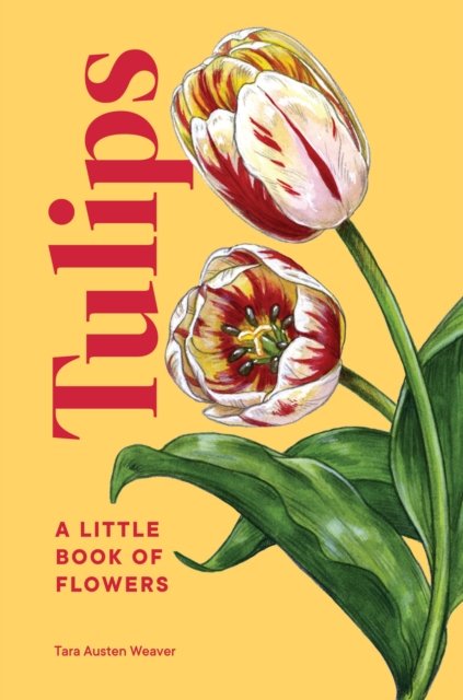 Cover for Tara Austen Weaver · Tulips: A Little Book of Flowers - Little Book of Natural Wonders (Hardcover Book) (2023)