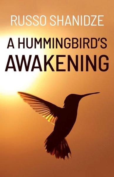 Cover for Russo Shanidze · A Hummingbird's Awakening (Paperback Book) (2021)