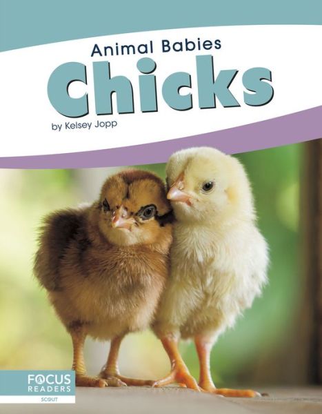 Cover for Kelsey Jopp · Chicks - Animal Babies (Hardcover Book) (2019)