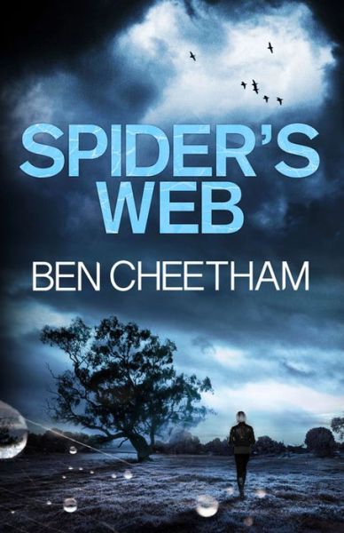 Cover for Ben Cheetham · Spider's Web - The Missing Ones (Hardcover Book) (2015)