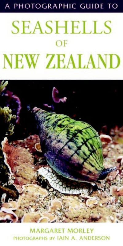 Cover for Anderson, Margaret Morley &amp; Ian · Photographic Guide To Seashells Of New Zealand (Paperback Book) (2004)