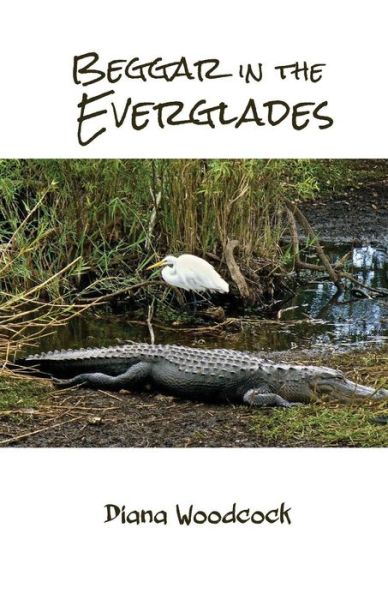 Cover for Diana Woodcock · Beggar in the Everglades (Paperback Book) (2016)