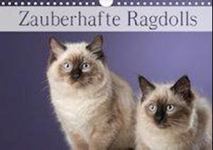 Cover for Noack · Zauberhafte Ragdolls / Geburtstag (Book)