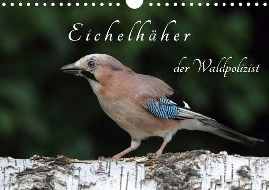 Cover for Konieczka · Eichelhäher der Waldpolizist (Book)