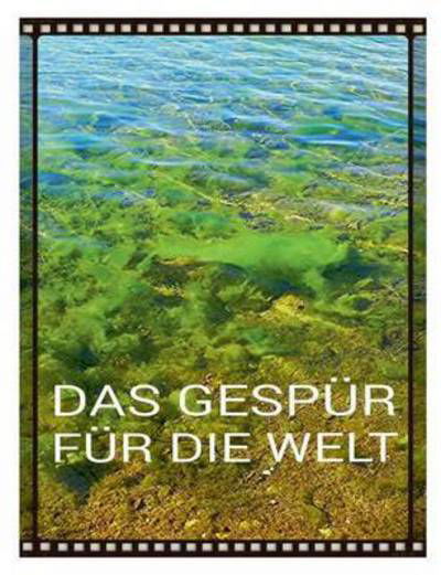 Cover for Tomithy Holeapple · Das Gespur Fur Die Welt (Paperback Book) (2015)