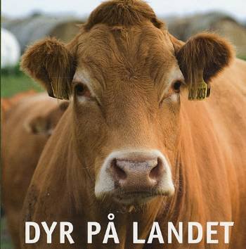 Cover for Claus Dalby · Dyr på landet (Pappbok) [1. utgave] (2008)